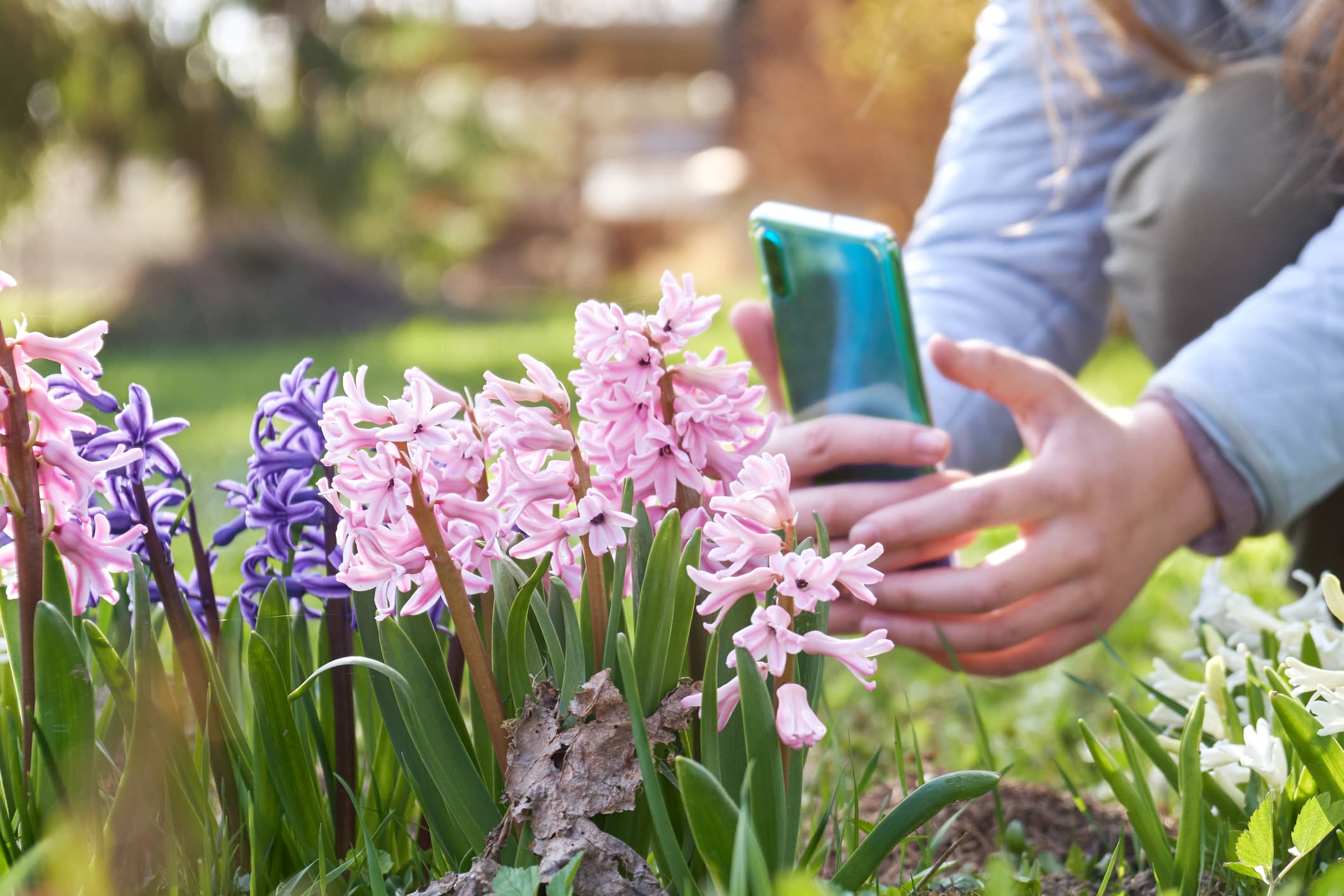 Gen Z snap an average of 17 pics a month of their green fingered efforts